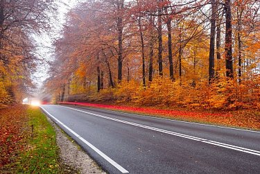 20 октября – День работников дорожного хозяйства